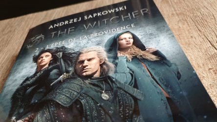 Image d'illustration pour l'article : The Witcher - L'Épée de la Providence : Notre avis sur le roman de Bragelonne