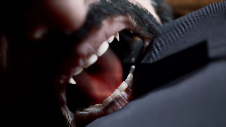 Image d'illustration pour l'article : Vampire The Masquerade Swansong lâche un trailer et de nouvelles infos