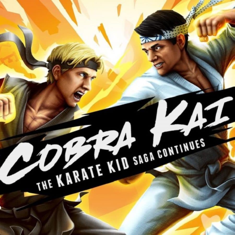Cobra Kai : The Karate Kid Saga Continues