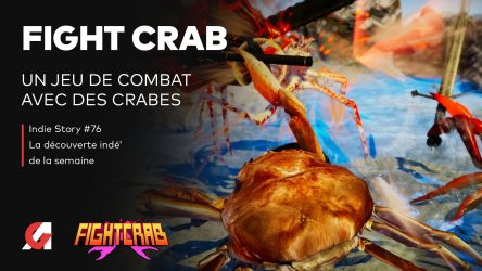 Image d'illustration pour l'article : Fight Crab : Un jeu de combat de crabes sous fond de J-Pop