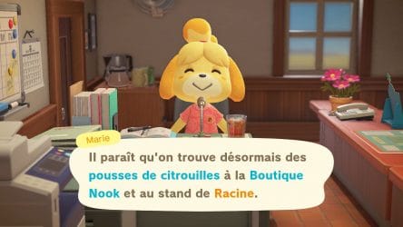 Image d'illustration pour l'article : Les citrouilles - Animal Crossing New Horizons