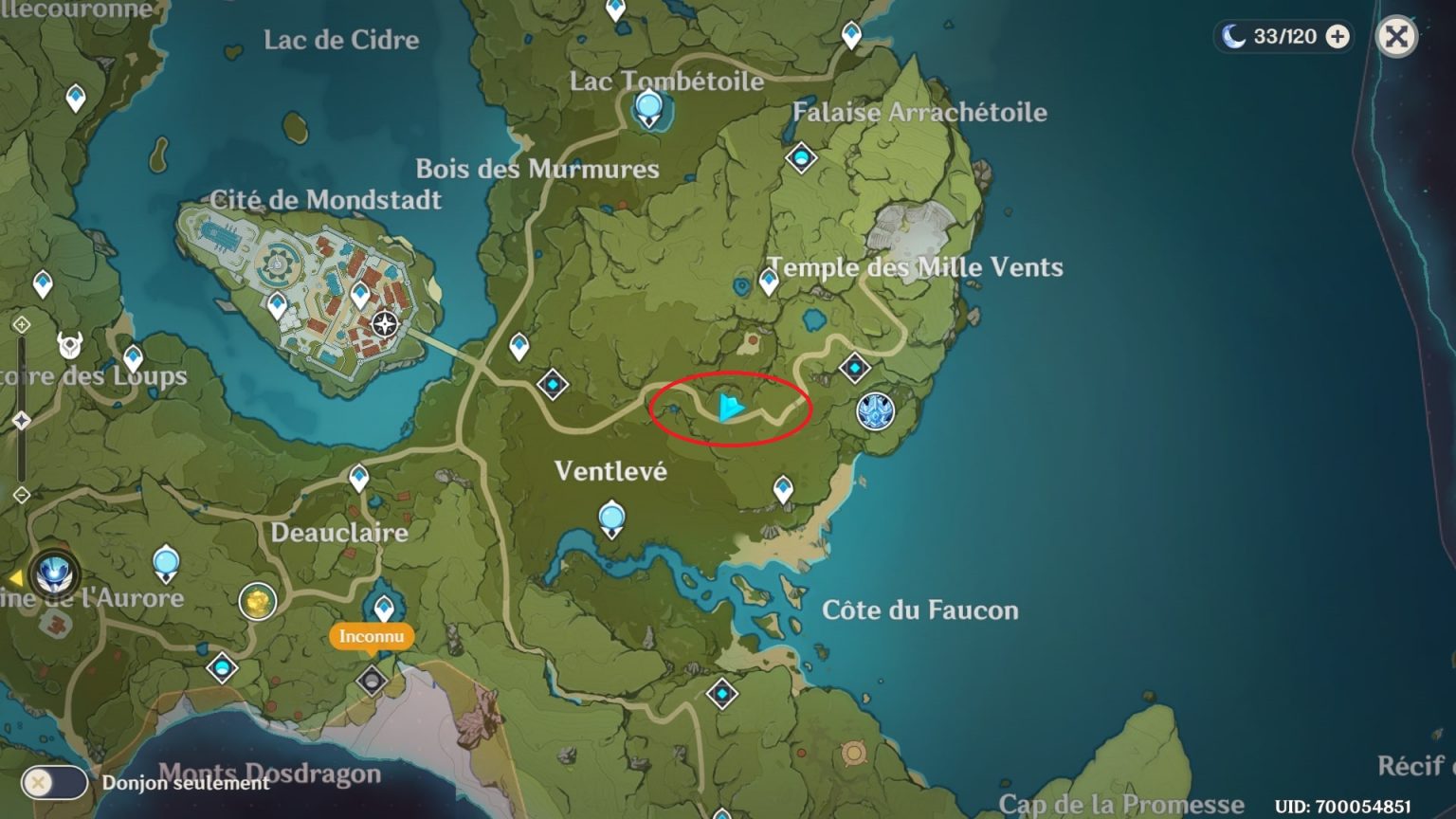 Tombaies : où trouver, emplacement | Guide Genshin Impact