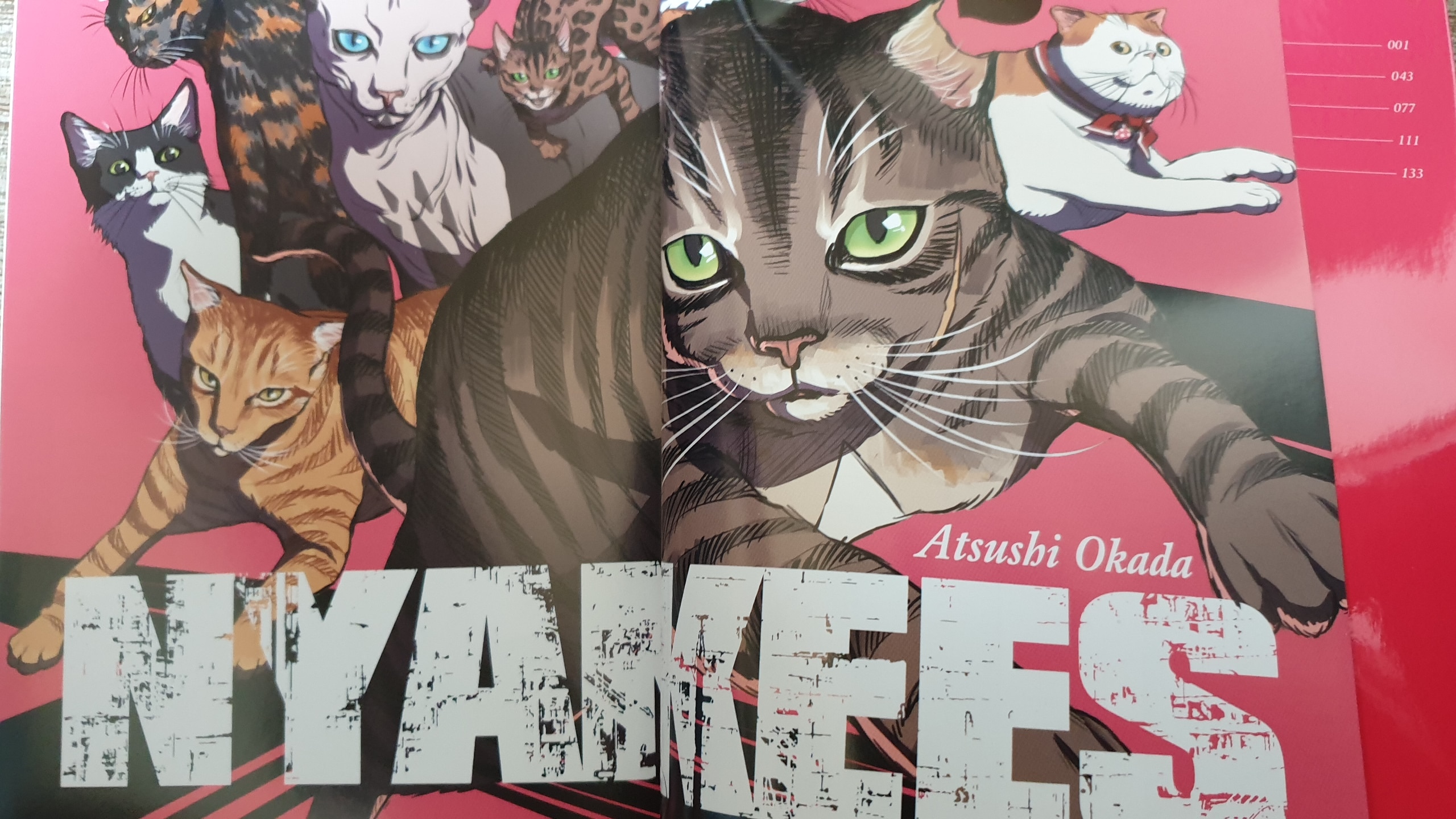 Nyankees - tomes 2 et 3 - couleurs - chats - titre