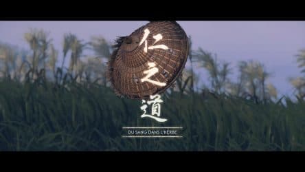 Image d'illustration pour l'article : Du sang dans l'herbe - Ghost of Tsushima