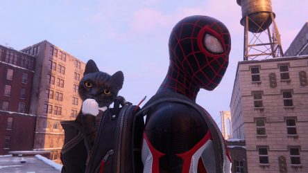 Image d'illustration pour l'article : Chat perdu - Spider-Man Miles Morales
