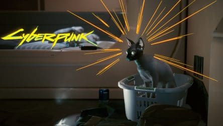 Image d'illustration pour l'article : Comment adopter un chat - Cyberpunk 2077