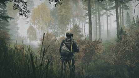 Image d'illustration pour l'article : Bohemia Interactive : Une bonne année 2020 pour les papas de DayZ