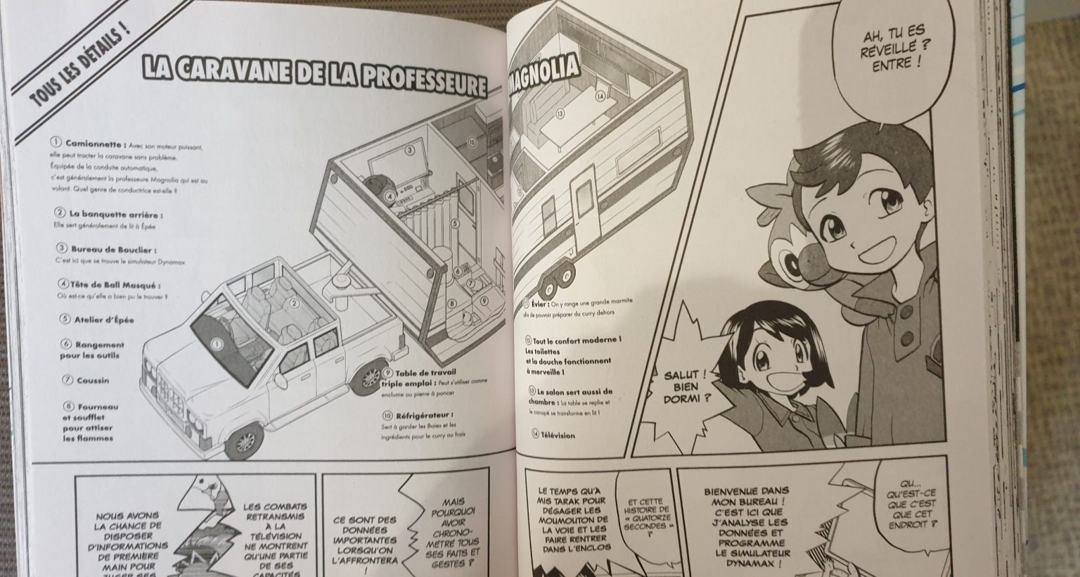 Pokémon - Épée et Bouclier : Présentation et avis sur le manga de Kurokawa