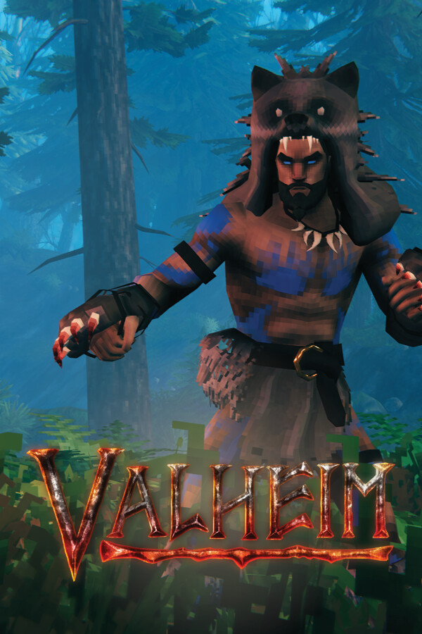 Jaquette de Valheim