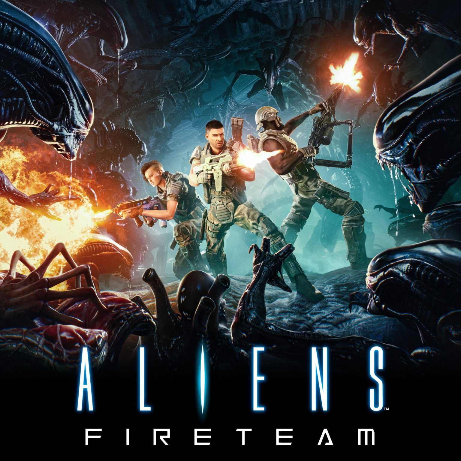 Steam fireteam elite фото 116