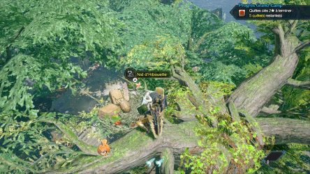 Image d'illustration pour l'article : Monster Hunter Rise : Où trouver le nid de l'Hibouette ?