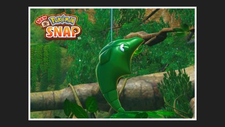 Image d'illustration pour l'article : Les missions de la Jungle Grantarbre (Jour) - New Pokémon Snap
