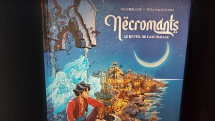 Image d'illustration pour l'article : Nécromants : Présentation et avis sur la BD de Drakoo