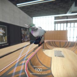 Skatebird date de sortie 5