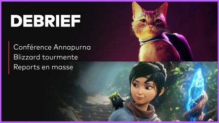 Image d'illustration pour l'article : Débrief' : Chaos chez Blizzard, Annapurna, STRAY, Kena et Crimson repoussés