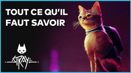 Image d'illustration pour l'article : STRAY : Incarnez un chat dans ce jeu d'aventure cyberpunk, tout savoir en 4 minutes