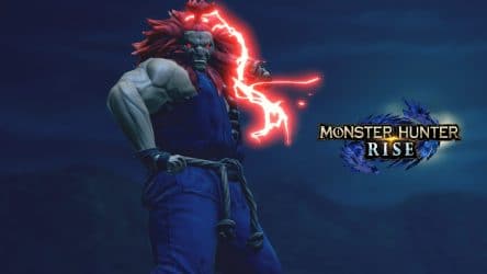 Image d'illustration pour l'article : Monster Hunter Rise annonce une collaboration avec Street Fighter