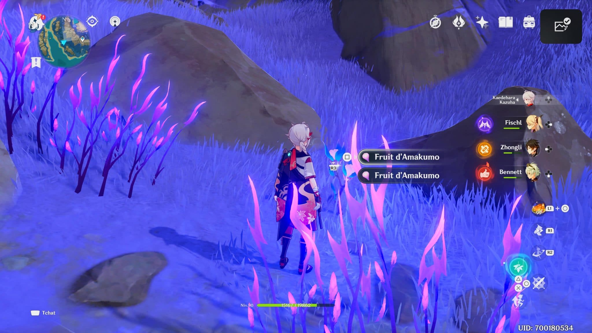 Où trouver les Fruits d'Amakumo, emplacement Guide Genshin Impact