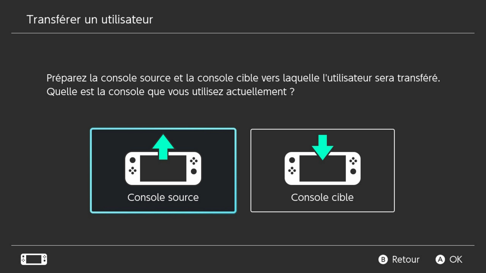 Switch oled transfer guide 04 4