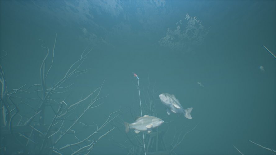 Bassmaster fishing 2022 screenshot 3 18