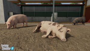 Farming simulator 22 animaux 04 5