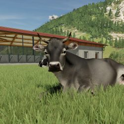 Farming simulator 22 animaux illu 12