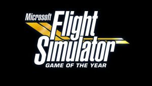 Microsoft flight simulator goty 1