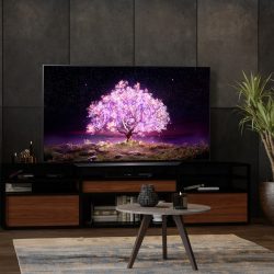 Lg oled 10