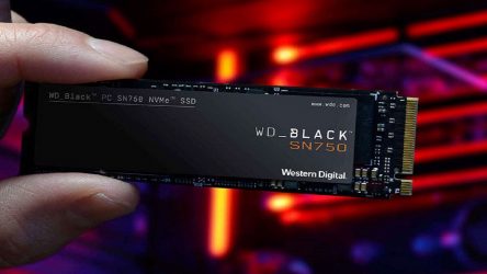 Image d'illustration pour l'article : Black Friday : Plusieurs SSD NVMe Western Digital en promotion