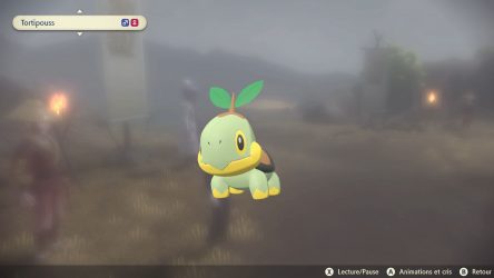 Image d'illustration pour l'article : Tortipouss - Légendes Pokémon Arceus