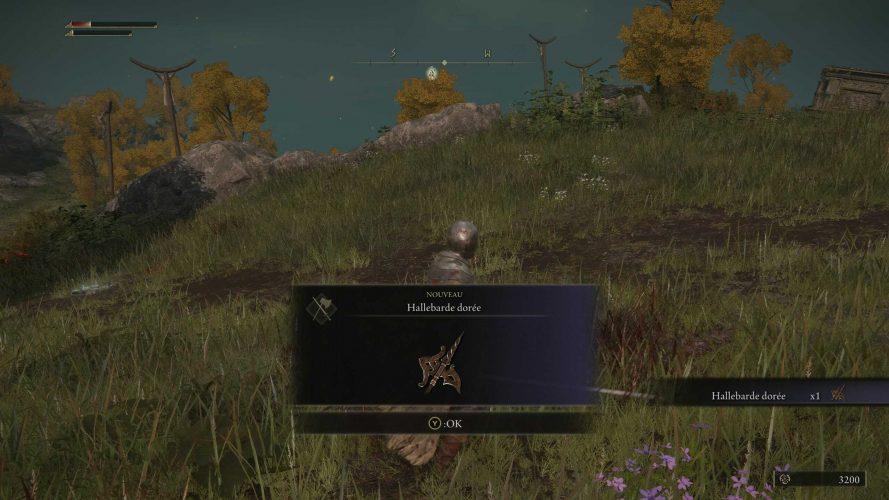 Arme Hallebarde dorée, où la trouver ? Guide Elden Ring