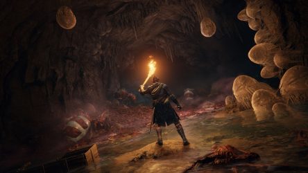 Image d'illustration pour l'article : Elden Ring : Un joueur a découvert comment mettre le jeu en pause sur console