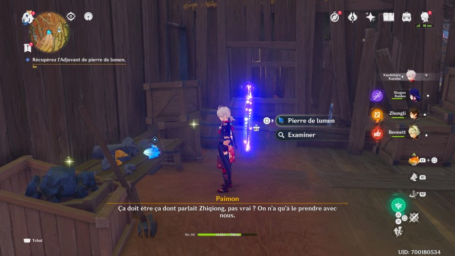 Inspecter Les Zones Et Récupérer Les Stèles En Pierre