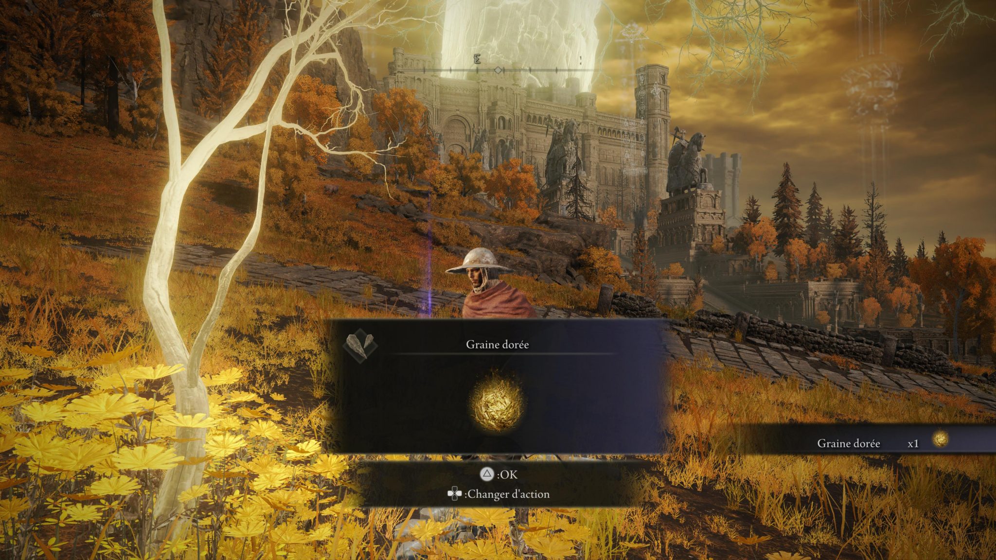 Emplacement des Graines dorées, où les trouver Guide Elden Ring