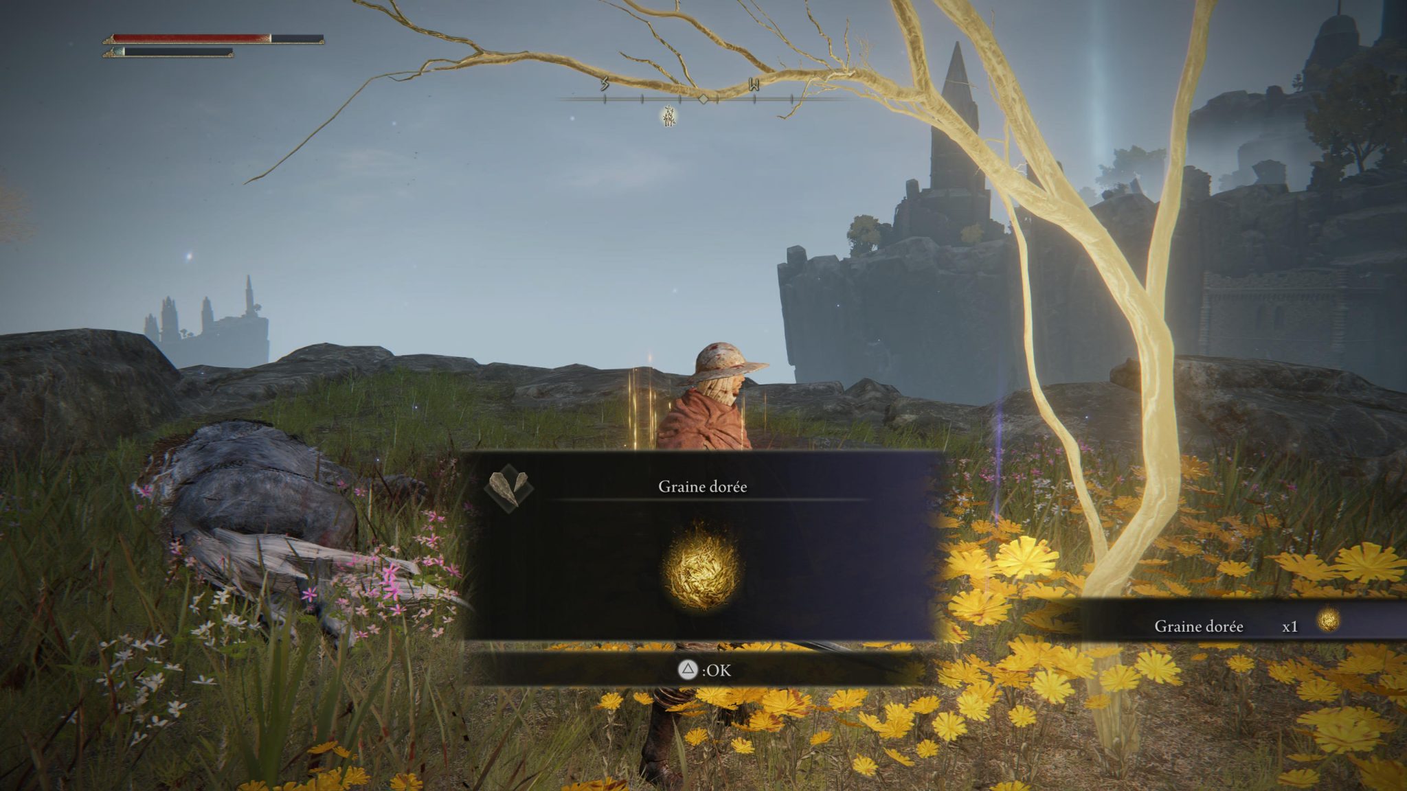 Emplacement des Graines dorées, où les trouver Guide Elden Ring