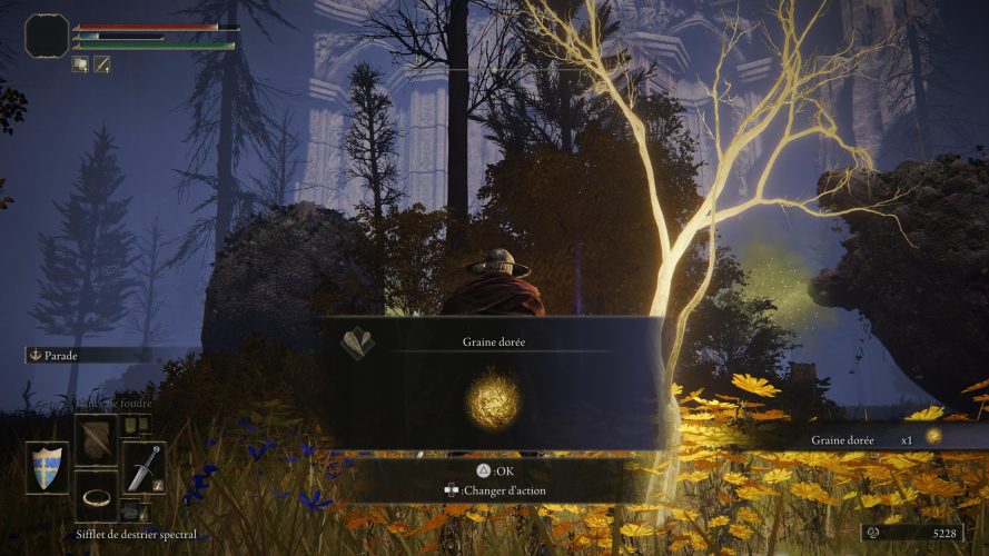 Emplacement des Graines dorées, où les trouver Guide Elden Ring