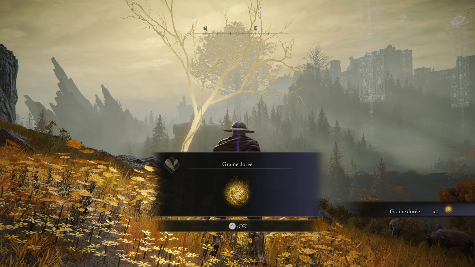 Emplacement des Graines dorées, où les trouver Guide Elden Ring