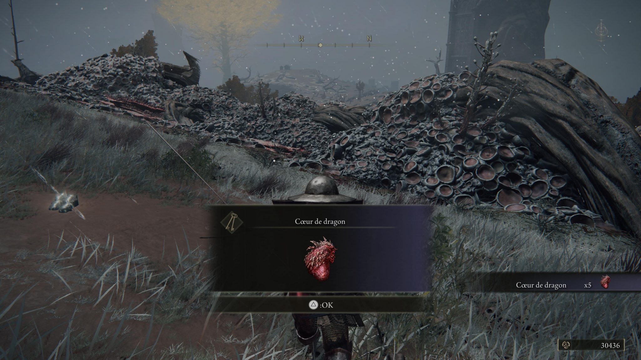 Comment gagner énormément de runes dès le début de partie Guide Elden Ring