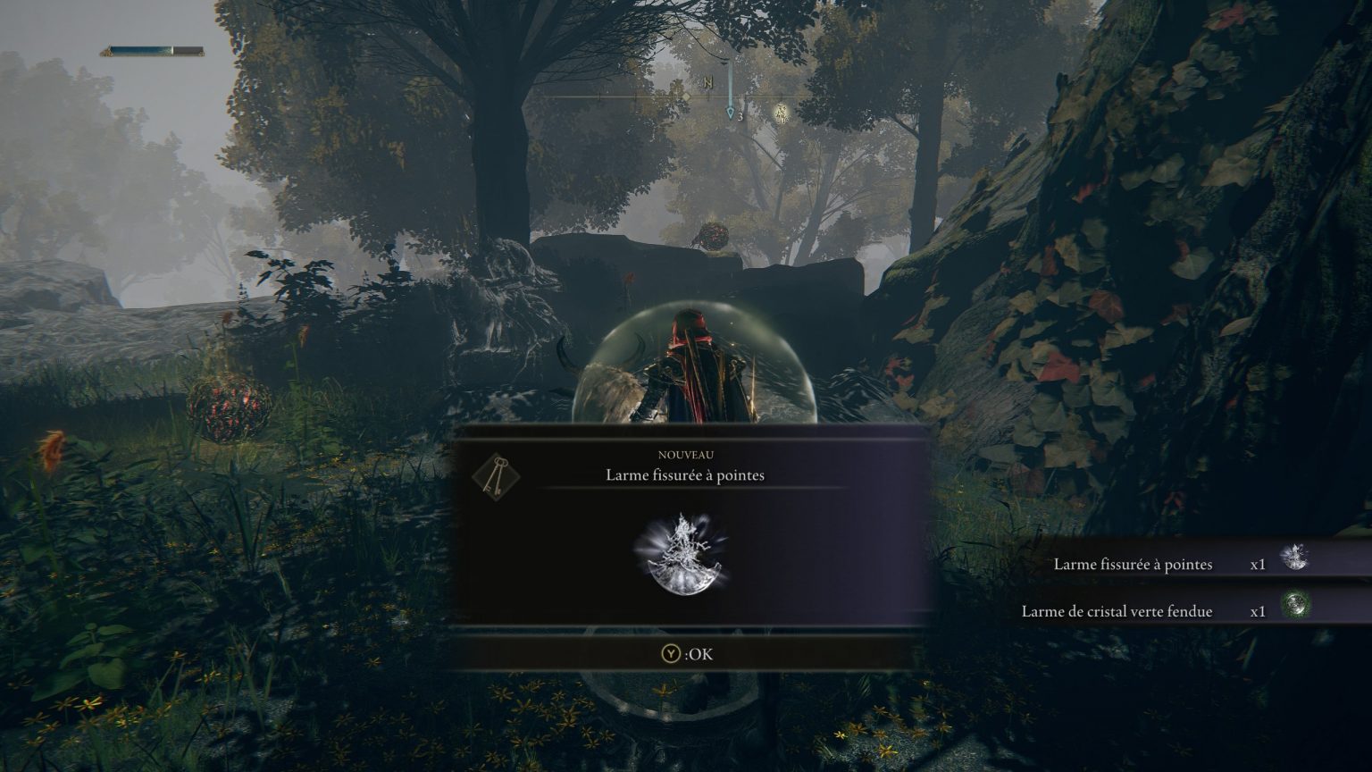 Emplacement de toutes les larmes de cristal Elden Ring