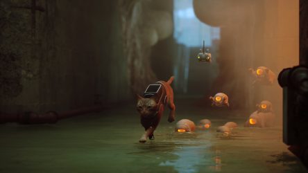 Image d'illustration pour l'article : Stray est déjà un carton pour Annapurna Interactive, des premiers chiffres très satisfaisants