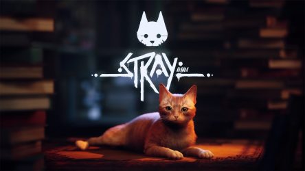 Image d'illustration pour l'article : Stray | Guide Complet