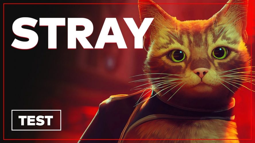 Image d\'illustration pour l\'article : Stray : La bonne surprise de l’été 2022 sur PC et PS5/PS4 ? Le test en vidéo