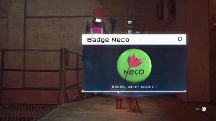 Image d'illustration pour l'article : Tous les badges - Stray