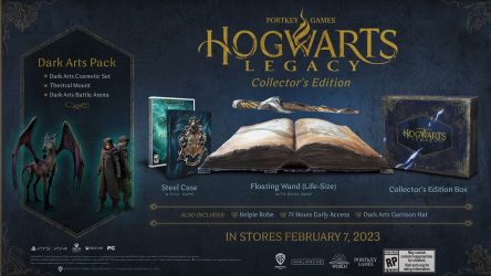 Image d'illustration pour l'article : Hogwarts Legacy : Les éditions Deluxe et Collector sont disponibles en précommande