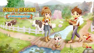Story of seasons a wonderful life key 3