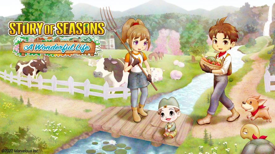 Story of seasons a wonderful life key 15