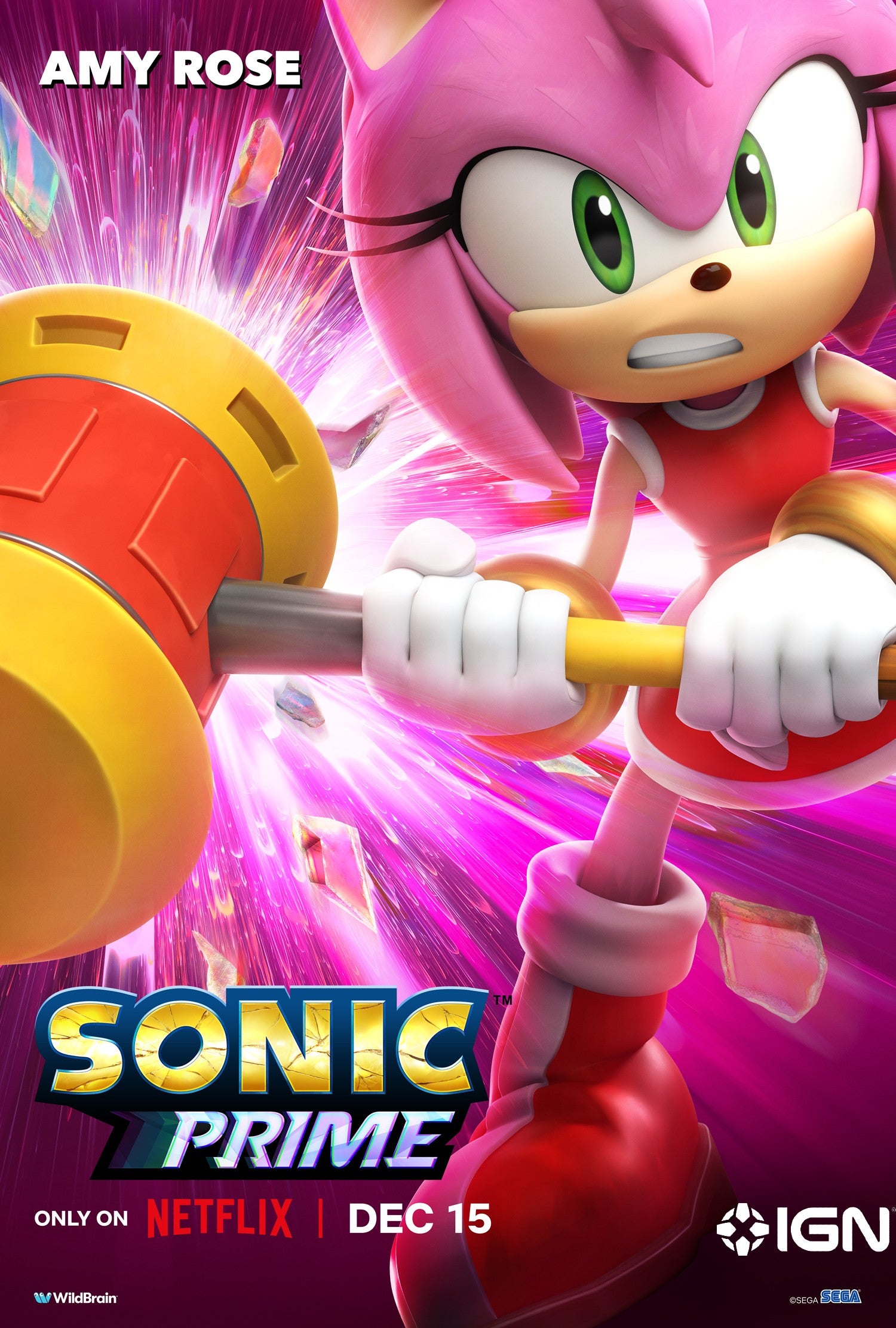 Sonic prime 1 6