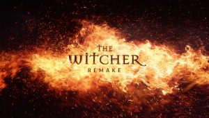 The witcher remake 8