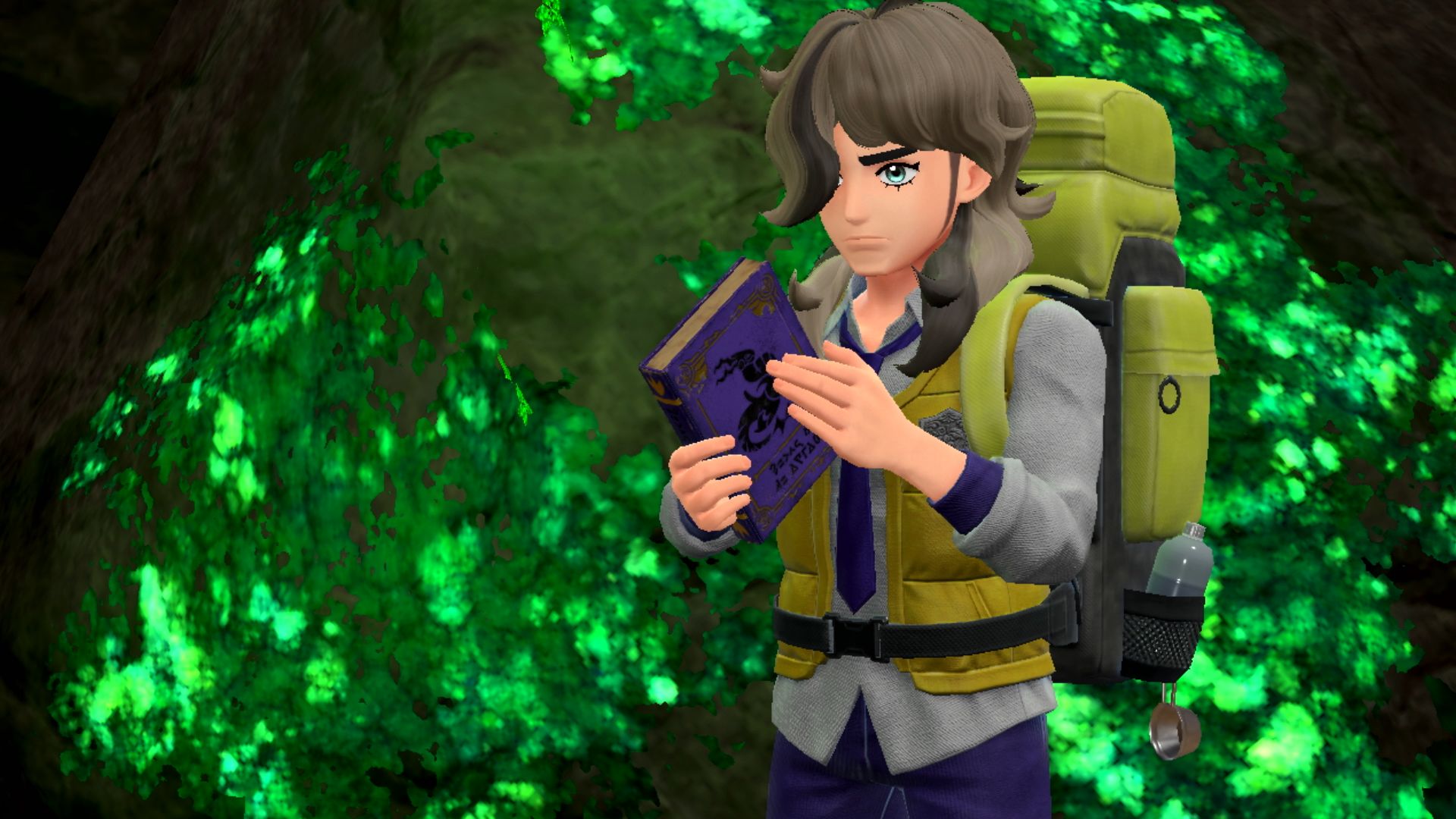 Pokemon ecarlate violet livre 5