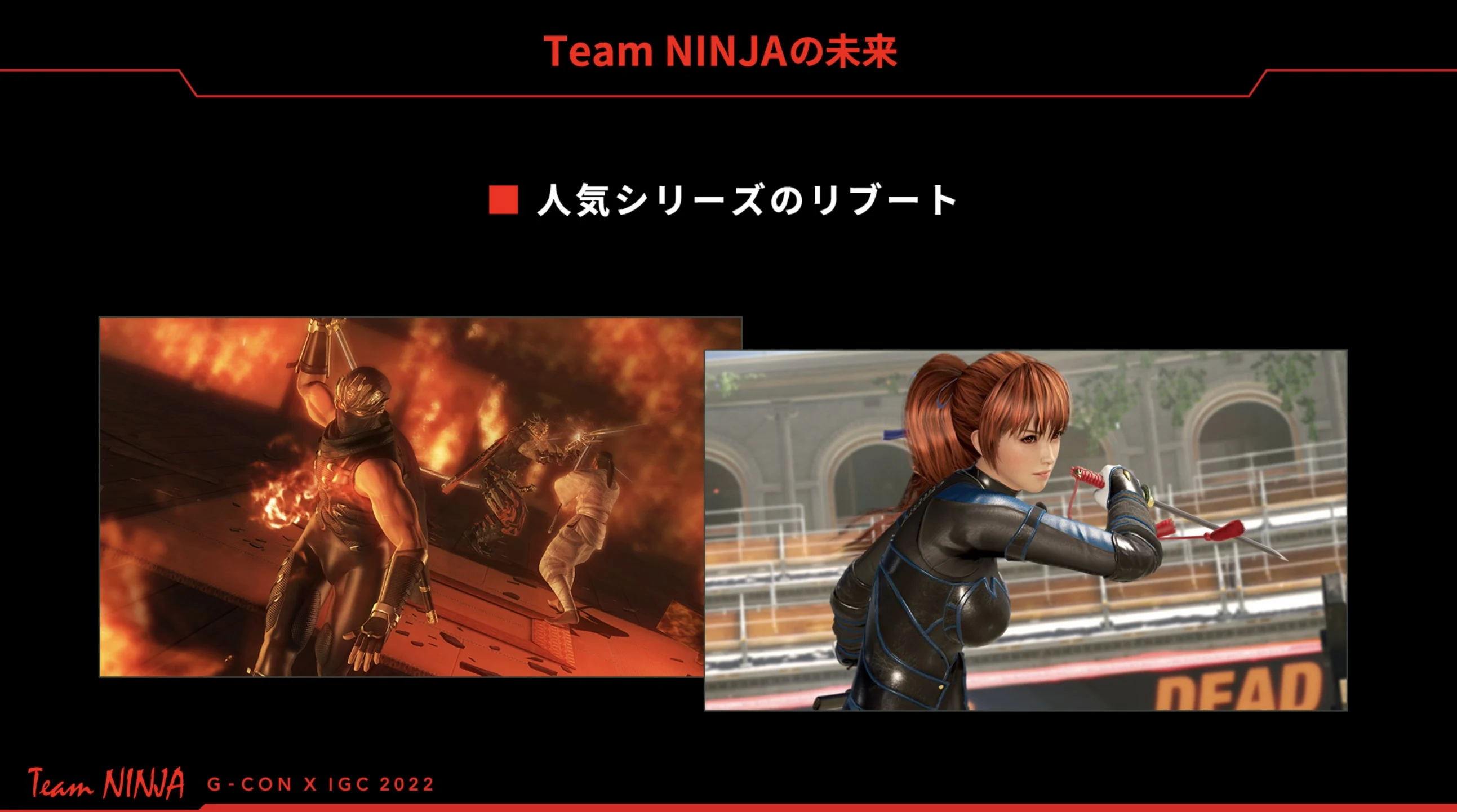 Team ninja 2